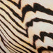 Shell Stripe EcoShimmer