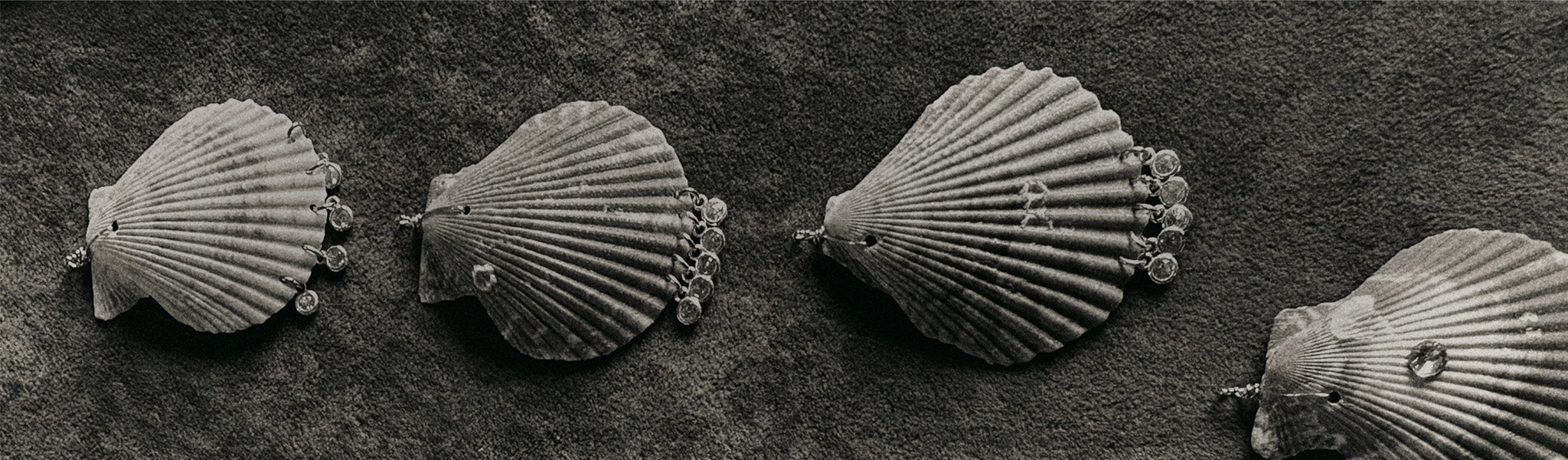Shell charms
